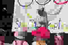 1781965426768