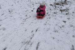 IMG_20260112_111410