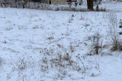 WhatsApp-Image-2026-01-12-at-14.39.33