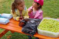 Obrazek-WhatsApp-2025-06-23-v-11.19.34_c764e049