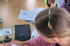 Obrazek-WhatsApp-2025-06-23-v-11.19.40_1f4c79de