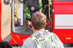 Obrazek-WhatsApp-2025-06-23-v-11.20.08_d36f9c39