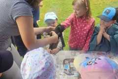 Obrazek-WhatsApp-2025-06-23-v-12.58.26_61b55850