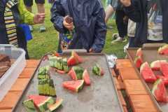 Obrazek-WhatsApp-2025-06-23-v-12.58.27_8d0fde9d