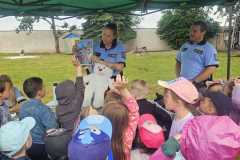 Obrazek-WhatsApp-2025-06-23-v-12.58.27_d1350888