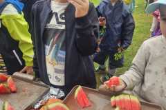 Obrazek-WhatsApp-2025-06-23-v-12.58.27_f01e79b7