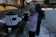 IMG_20260106_103137