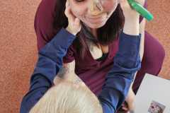 Obrazek-WhatsApp-2025-05-11-v-16.32.26_f284f0c4