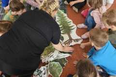 Obrazek-WhatsApp-2025-05-26-v-12.48.52_2498ef65