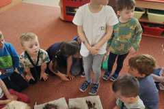 Obrazek-WhatsApp-2025-05-26-v-12.48.52_2a2f847d