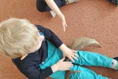 Obrazek-WhatsApp-2025-05-26-v-12.48.52_43d6615c