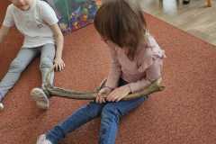 Obrazek-WhatsApp-2025-05-26-v-12.48.52_c1d3532c