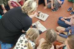 Obrazek-WhatsApp-2025-05-26-v-12.48.52_ff1b3aca