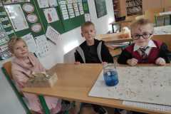 Obrazek-WhatsApp-2025-10-31-v-09.42.31_82d5074a