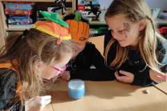 Obrazek-WhatsApp-2025-10-31-v-09.42.31_a675389d