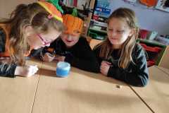 Obrazek-WhatsApp-2025-10-31-v-09.42.31_f94eb45d