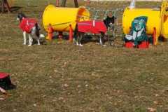 WhatsApp-Image-2026-02-20-at-14.23.03e