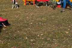 WhatsApp-Image-2026-02-20-at-14.23.03w