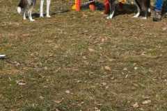 WhatsApp-Image-2026-02-20-at-14.23.04