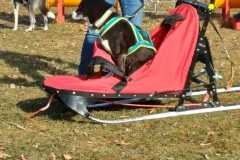 WhatsApp-Image-2026-02-20-at-14.23.05c