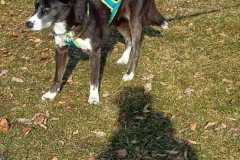 WhatsApp-Image-2026-02-20-at-14.23.13y