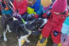 WhatsApp-Image-2026-02-20-at-14.23.14qq