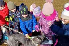 WhatsApp-Image-2026-02-20-at-14.23.14vf