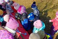 WhatsApp-Image-2026-02-20-at-14.23.15www