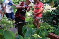 Obrazek-WhatsApp-2025-06-26-v-13.22.57_e0f666fd