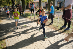 IMG_20261007_142550_1