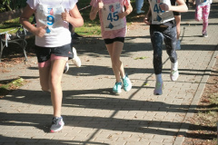 IMG_20261007_150939