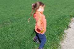 WhatsApp-Image-2026-09-17-at-17.53.43z