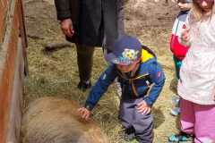 WhatsApp-Image-2026-05-14-at-14.46.03k