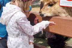 WhatsApp-Image-2026-05-14-at-14.46.06u
