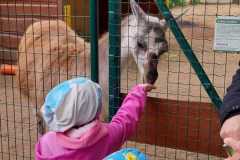 WhatsApp-Image-2026-05-14-at-14.46.08f