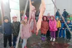 WhatsApp-Image-2026-02-20-at-11.27.48v