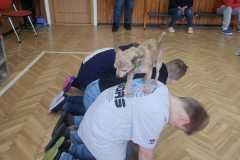 Obrazek-WhatsApp-2025-03-14-v-08.55.43_8a61a50e