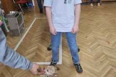 Obrazek-WhatsApp-2025-03-14-v-08.55.44_97b83743