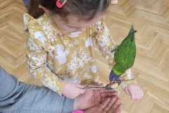 Obrazek-WhatsApp-2025-03-14-v-08.55.47_2fd43a0d