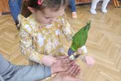 Obrazek-WhatsApp-2025-03-14-v-08.55.47_570bfe82