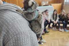 Obrazek-WhatsApp-2025-03-14-v-08.55.47_88c155a3