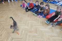 Obrazek-WhatsApp-2025-03-14-v-08.55.47_895bc86c