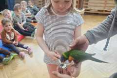 Obrazek-WhatsApp-2025-03-14-v-08.55.47_a49c4763