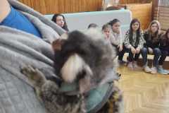 Obrazek-WhatsApp-2025-03-14-v-08.55.47_c7e528d9