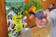 Obrazek-WhatsApp-2025-03-14-v-08.55.48_d5f329c3