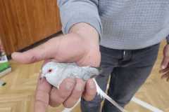 Obrazek-WhatsApp-2025-03-14-v-08.55.48_f5b19027